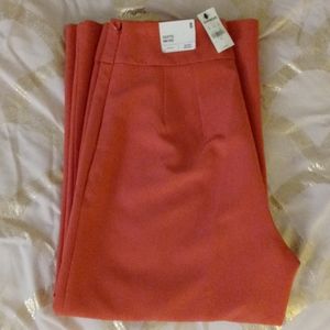 Brand new Culottes High Rise